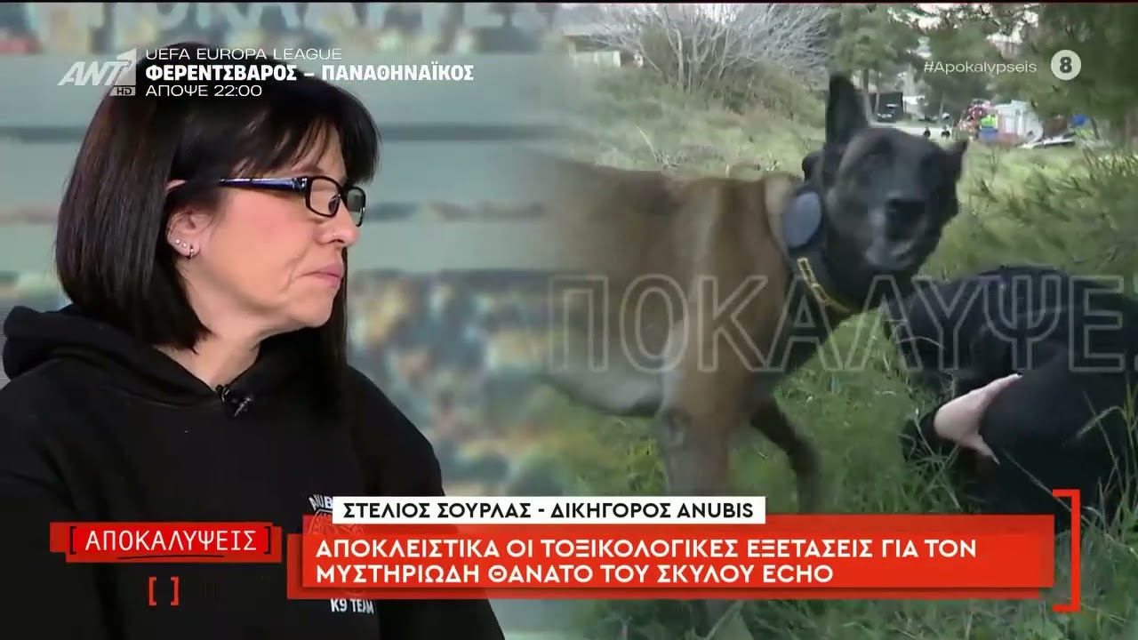 O Echo ο σκύλος της Anubis δηλητηριάστηκε;