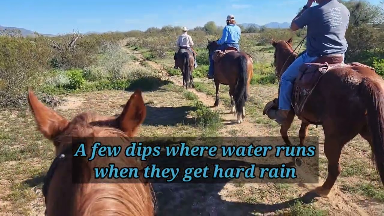 Trail Ride in Cave Creek, Arizona 