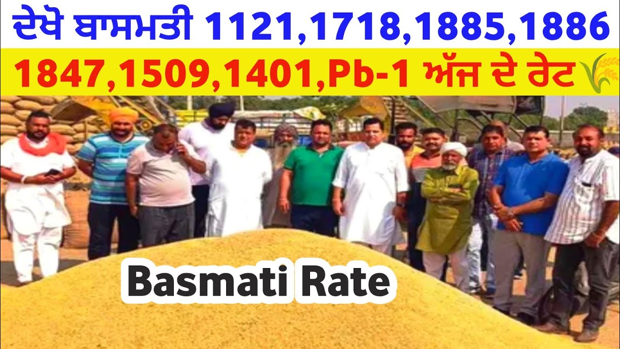 Basmati rate 1121 1718 1885 1886 1847 1509 1401 Pb-1 taaja Mandi bhav today tmb info basmati paddy