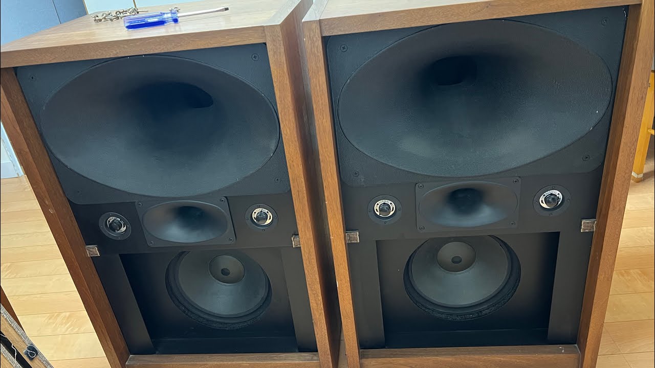 LOA YL ACOUSTIC 15-CARIB cực hiếm.sưu tầm lh zalo:0587569281
