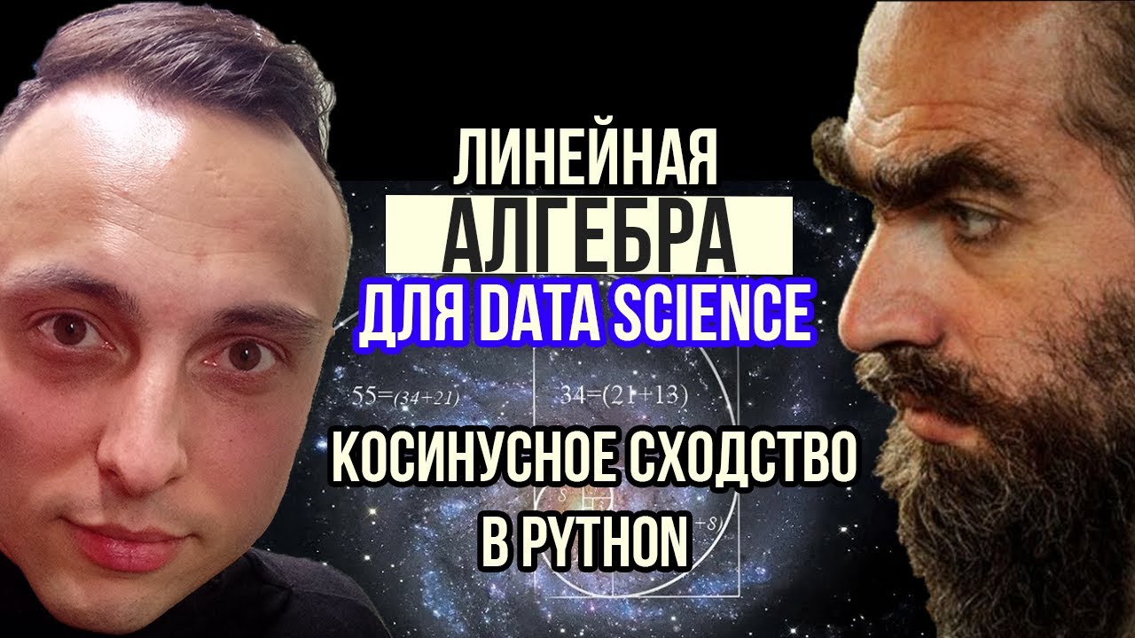 Косинусное сходство в Python. Скалярное произведение векторов. Линейная алгебра для Data Science