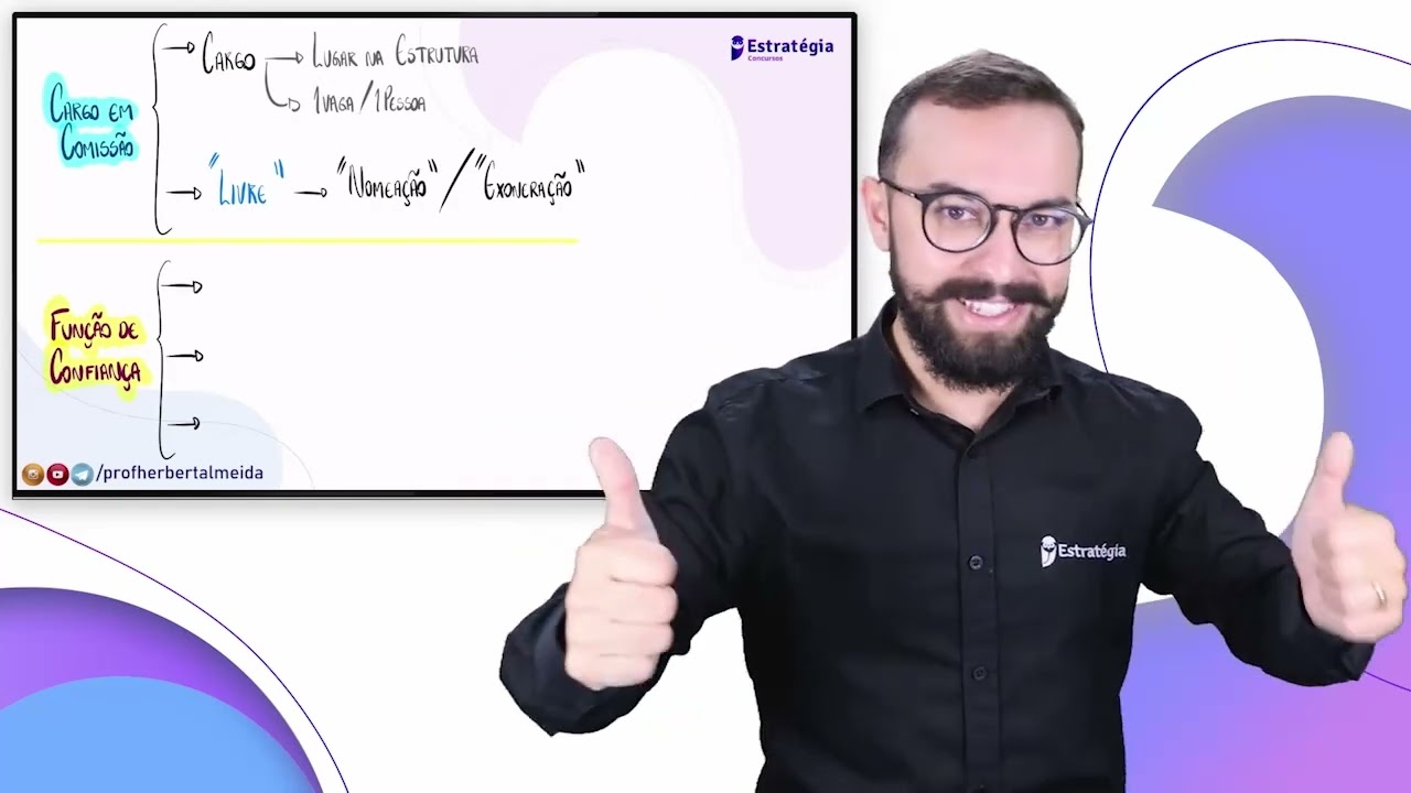 4. Servidores P&uacute;blicos Cargo, Emprego e Fun&ccedil;&atilde;o P&uacute;blicos