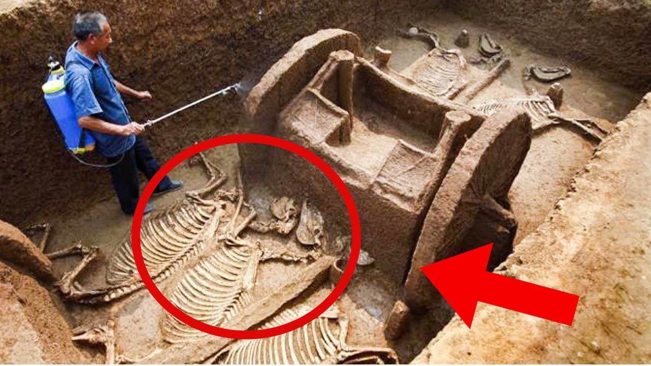 TOP CELE MAI IMPORTANTE DESCOPERIRI ARHEOLOGICE DIN ULTIMII ANI!