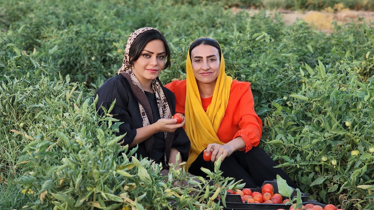 "She Turned 100 Tomatoes Into Gold – Without Saying a Word 🍅🔥"
