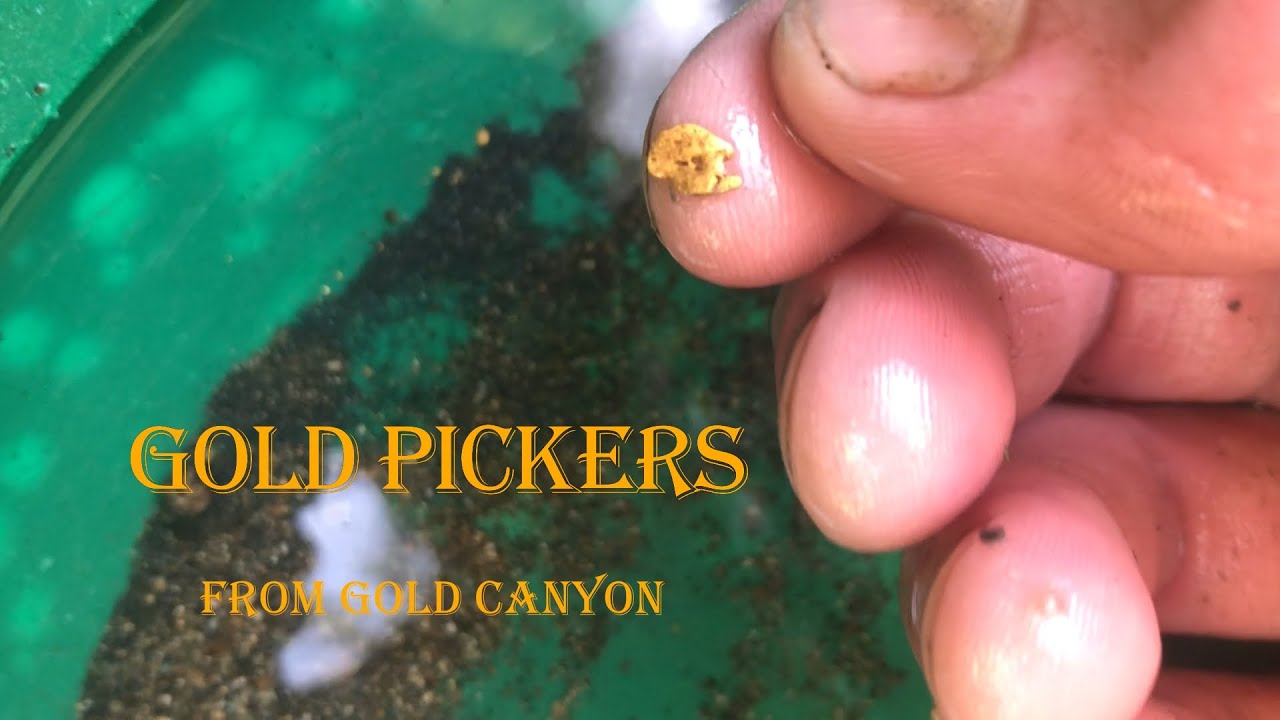 Gold Pickers From Gold Canyon