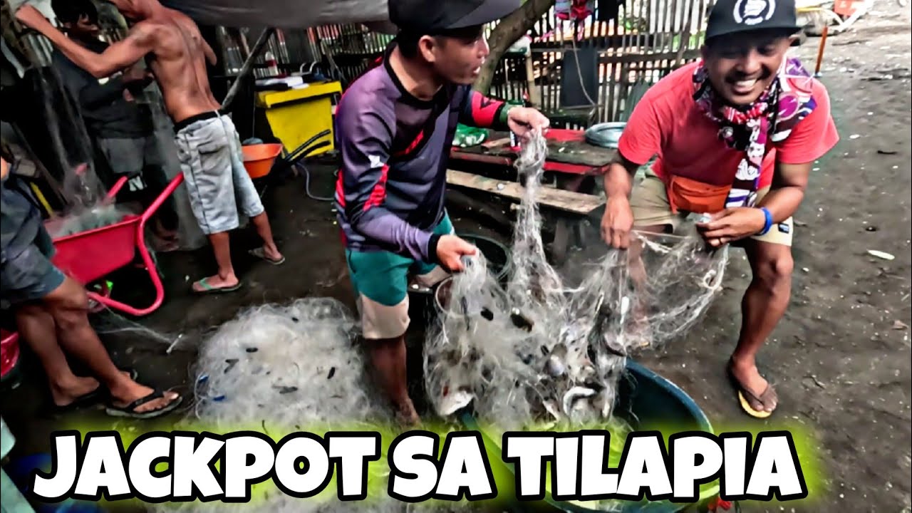 HINDI NA KINAYA NG LAMBAT SA DAMING NAKADIKIT NA TILAPIA @JaperSniperOfficial 