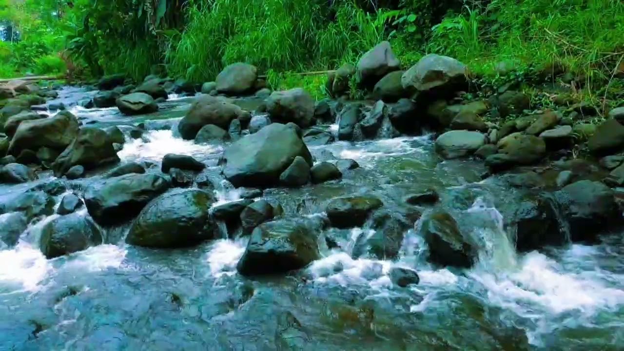 Mountain Stream & Rocks ASMR 🍃 4 Hours of Pure Nature Ambience for Total Relaxation