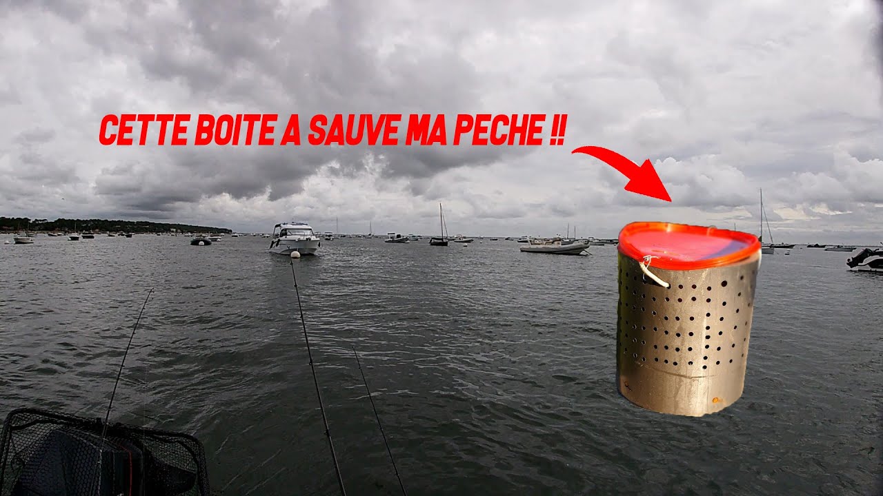 Cette BOITE a sauvé ma PÊCHE ! Grosse DORADE ROYALE du BASSIN D'ARCACHON