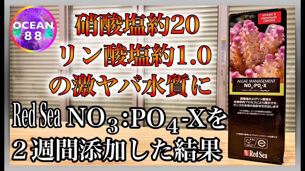 【海水魚水槽・サンゴ水槽】硝酸塩約20 リン酸塩約1.0の激ヤバ水質にRed Sea NO3：PO4-X（炭素源）を２週間添加した結果