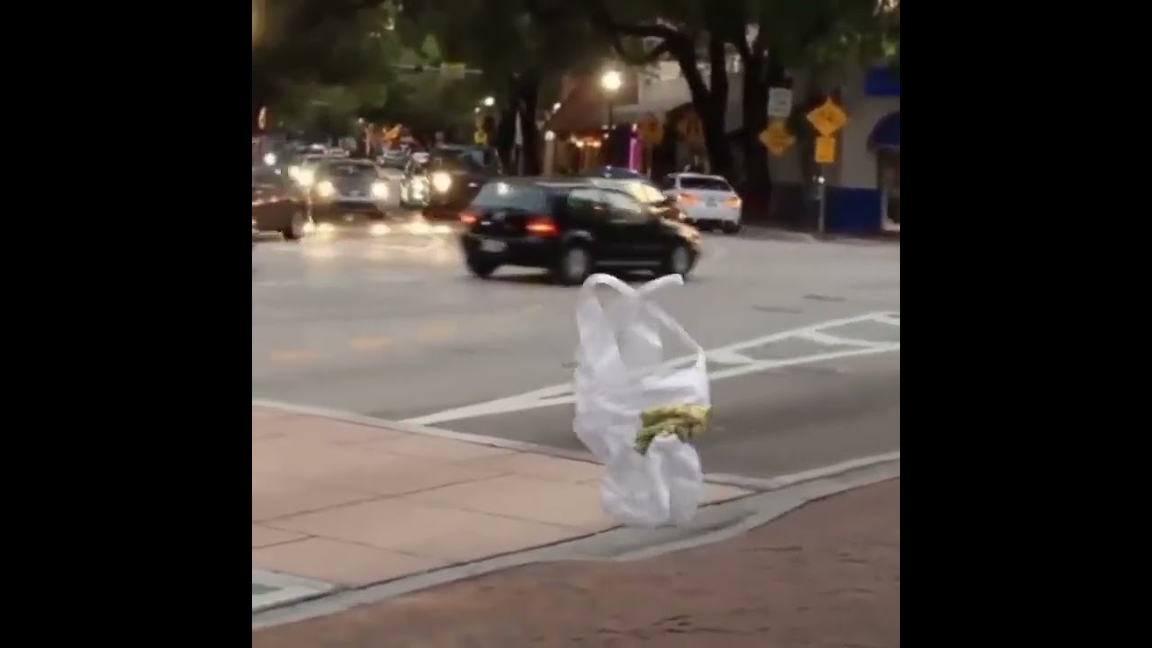 Ghost ! Funny Videos Compilation graciosa marrante engraçada 有趣的 मजेदार веселая 面白い lucu 재미있는