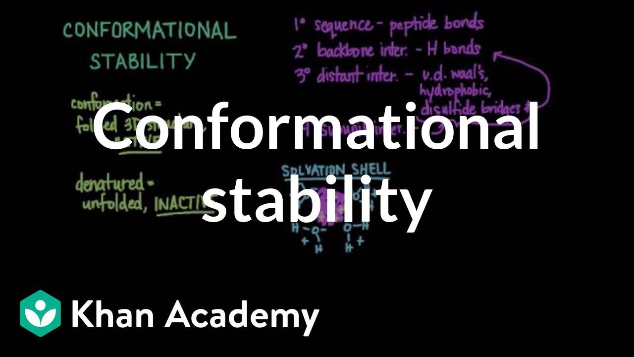 Conformational stability: Protein folding and denaturation | MCAT | Khan Academy