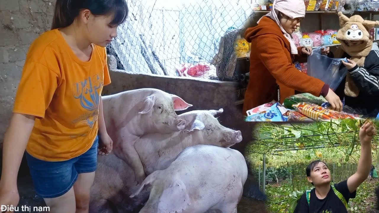 Pigs were paired and the store was crowded with customers
