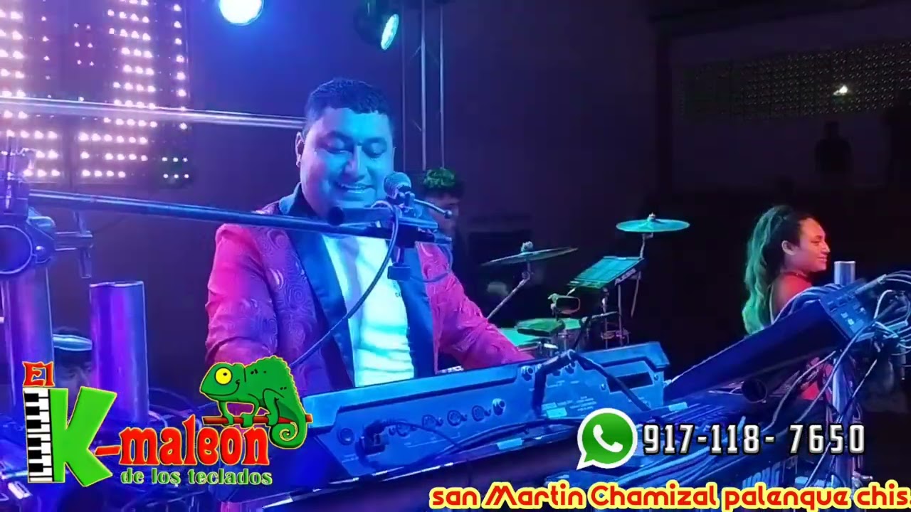 el camaleón de los teclados - anacleto