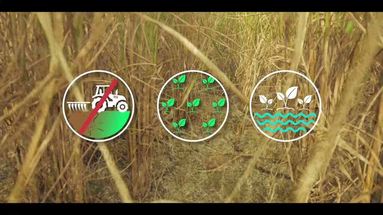 HOPE! The Series – Episode 4: Major improvements in rice crops in Bihar, India