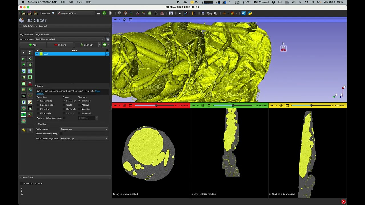 04 Using Scissors and Erase in 3D Slicer to clean insect CT scans
