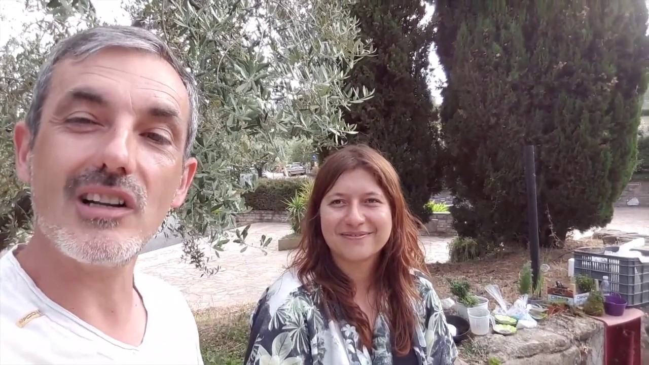 Come realizzare un vaso in Hypertufa per un giardino in miniatura