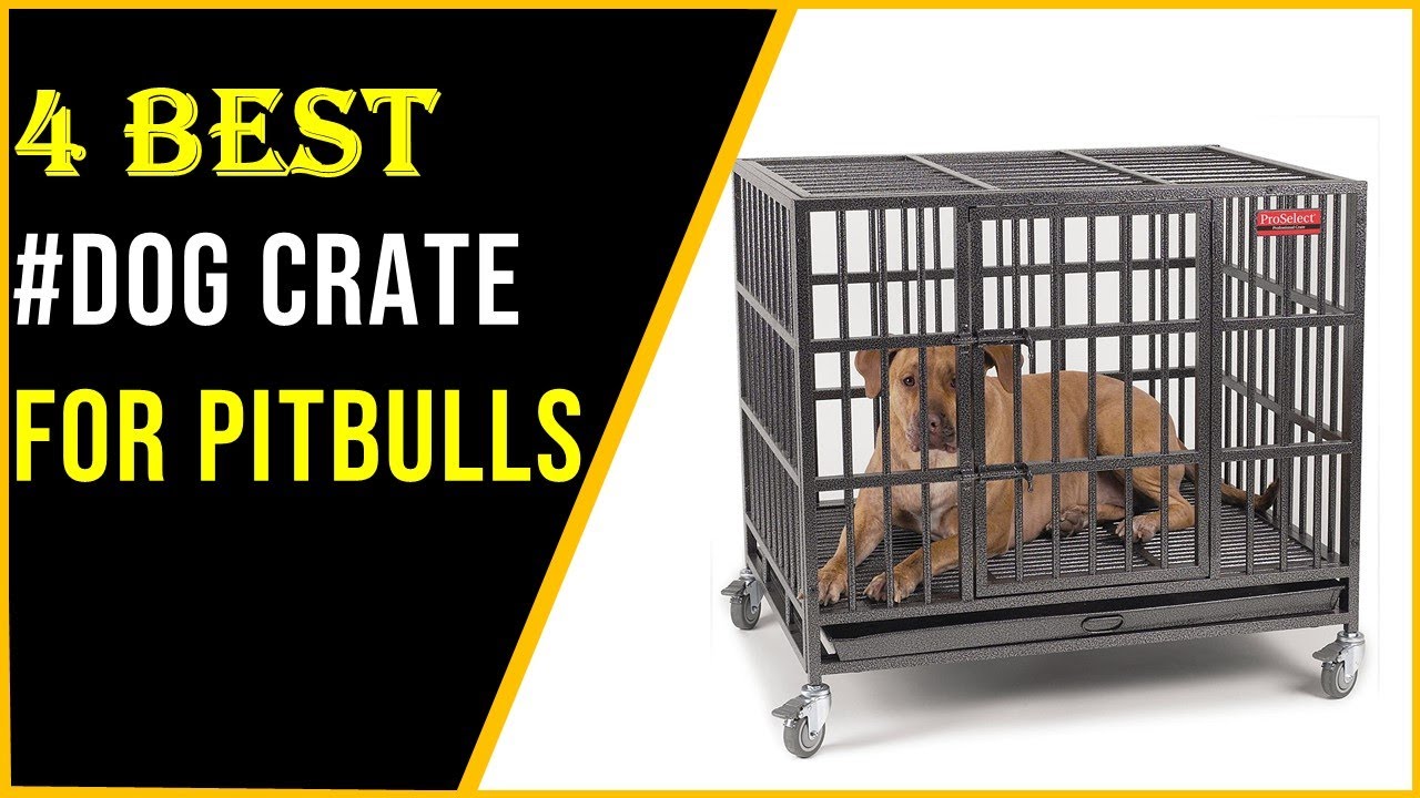 ✅Best Dog Crate for Pitbulls In 2023 | Top 4 Best Dog Crates For Pitbulls - Reviews & Buying Guide