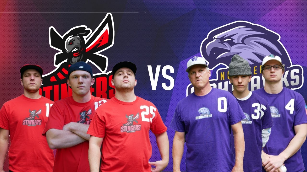 Career Ending Injury! | STINGERS vs NIGHTHAWKS | AWA Wiffle Ball 2020