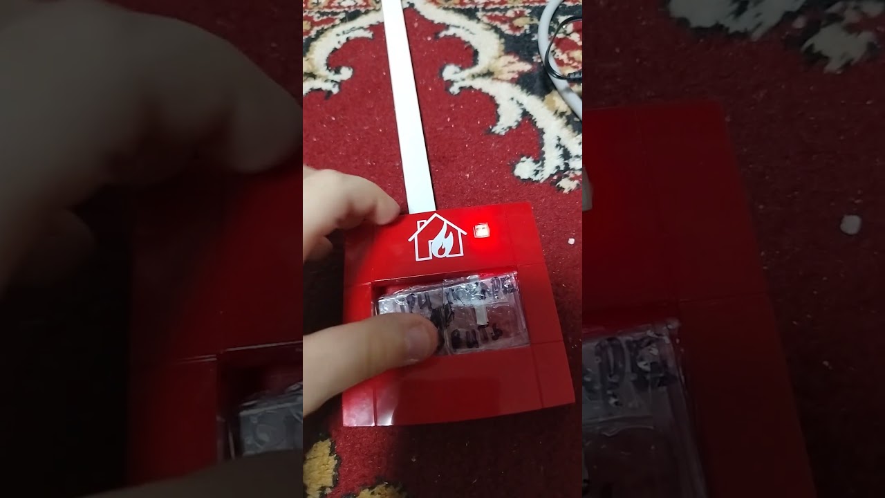 29 января 2026 г.