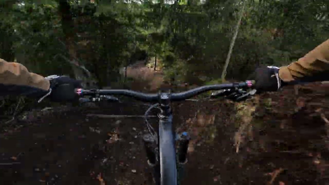 Enduro | MTB Zone Willingen | 2023