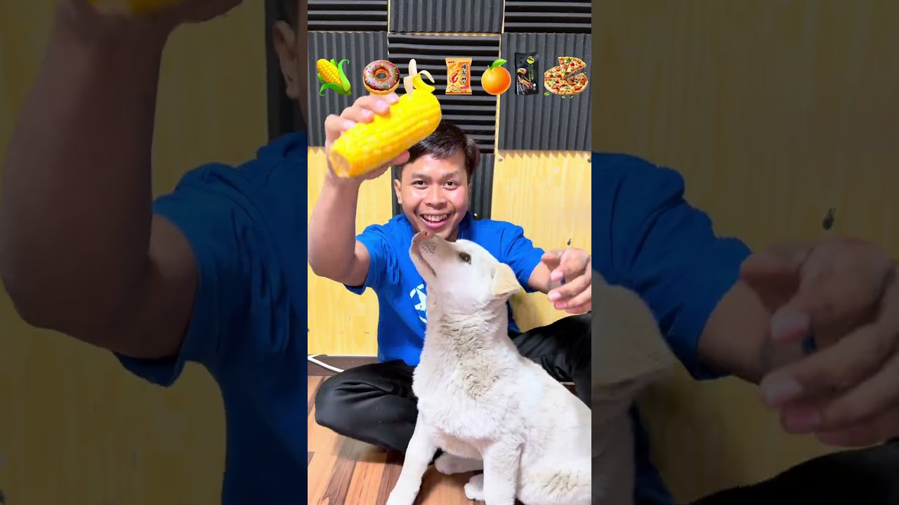 អាឡុងឆ្ងាញ់មាត់ទៀតហើយ🔥😂🌽🍩🍌🍊🍕
