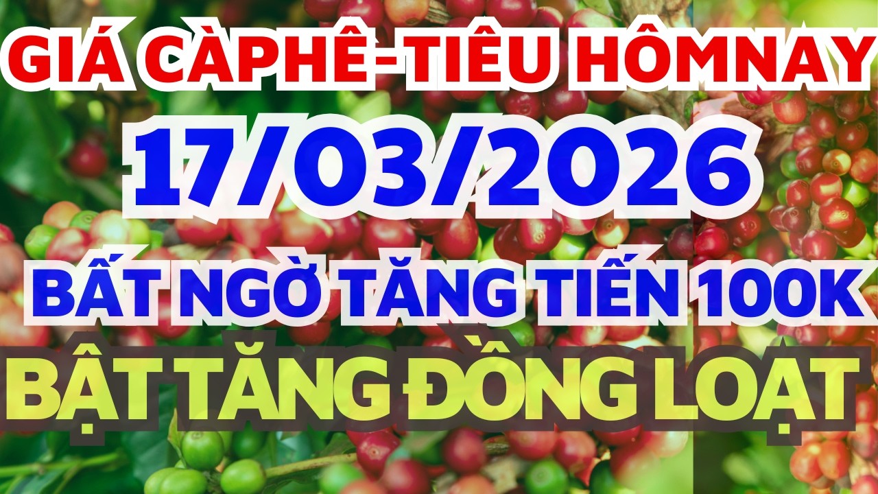 Giá cà phê hôm nay ngày 17/3/2026 BẬT TĂNG ĐỒNG LOẠT/Giá hồ tiêu hôm nay
