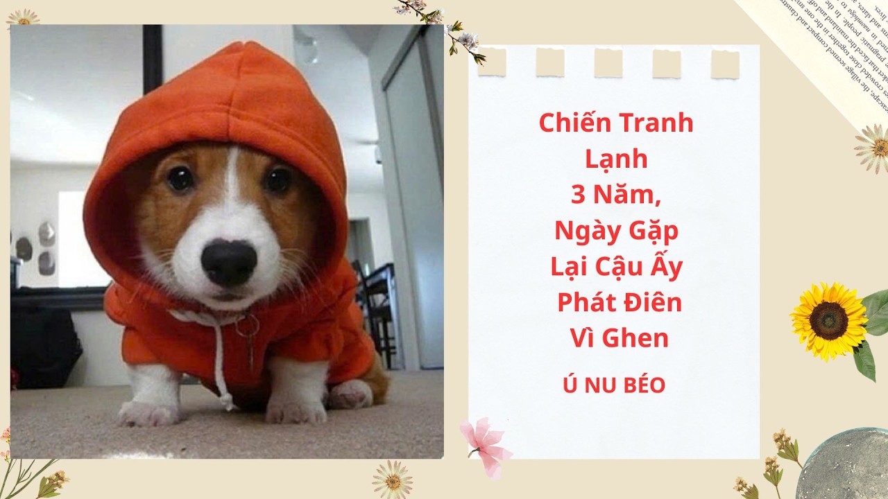 FULL Audio / CHIẾN TRANH LẠNH 3 NĂM/NGÀY GẶP LẠI CẬU ẤY PHÁT ĐIÊN VÌ NGHEN