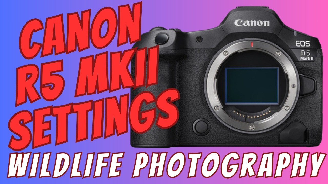 CANON R5 MKII- Autofocus Setup and Button Layout for Bird and Wildlife Photography