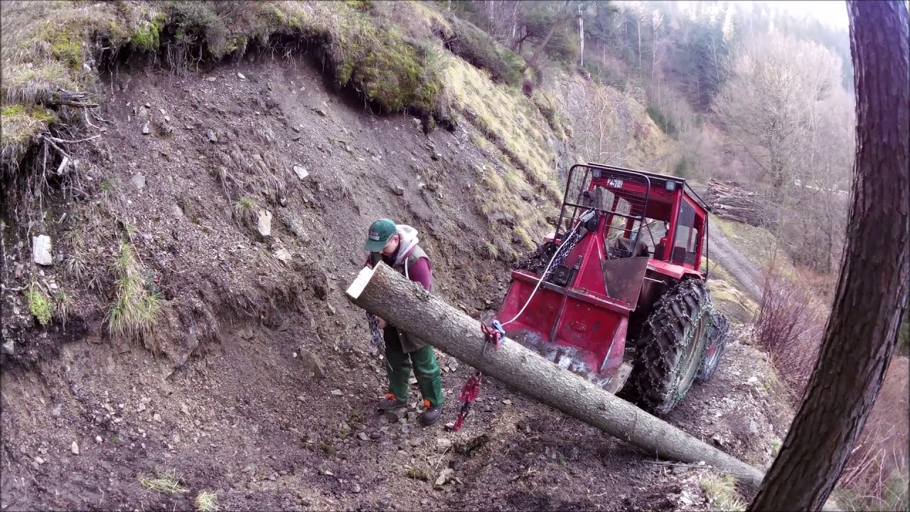 Wald Arbeit  Mit dem MF