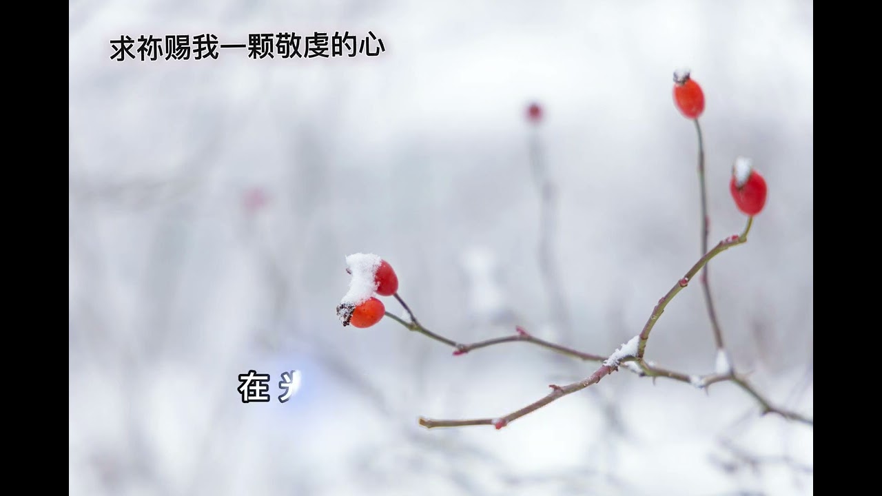 《 敬虔之心 》 赞美敬拜 生命之曲 不是我 乃是祢