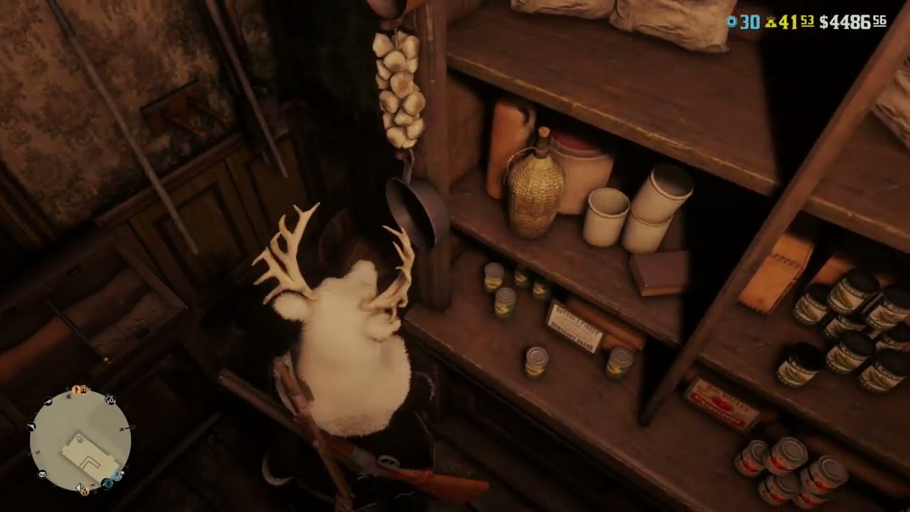 Late Night RDR2