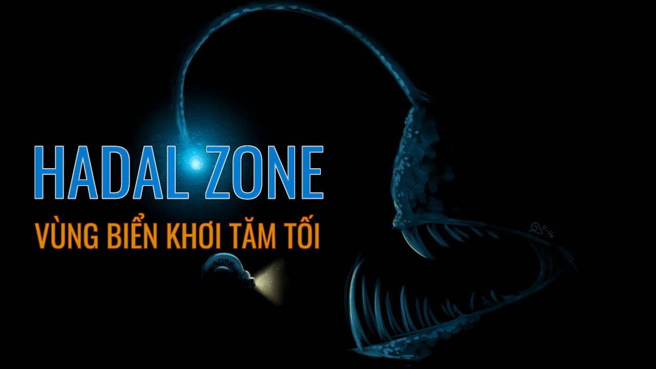 HADAL ZONE - v&ugrave;ng biển khơi tăm tối | SciEditor