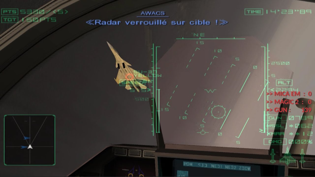 Rafale VS Yellow Squadon (Realistic Ammo)