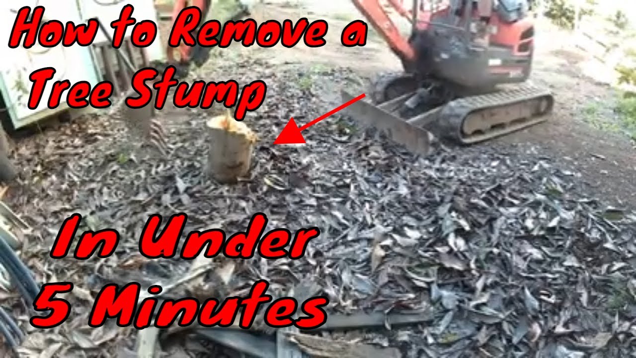The Complete Guide to Removing a Tree Stump with A Mini Excavator