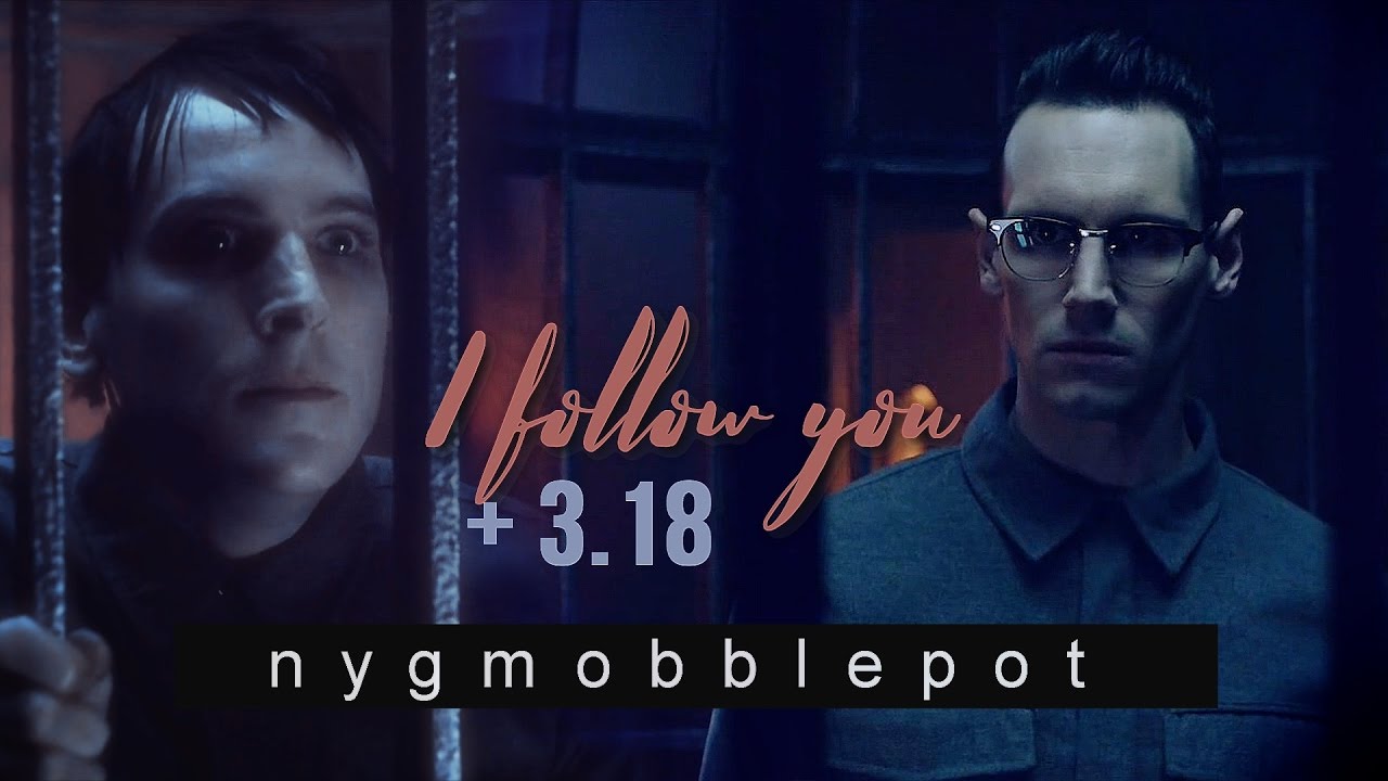 nygmobblepot (+3.18) | i follow