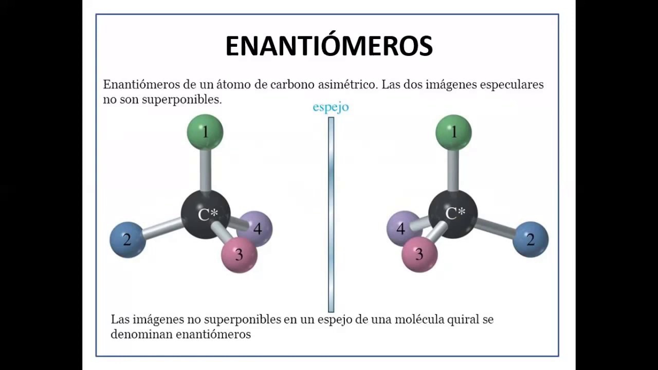 02 Glúcidos