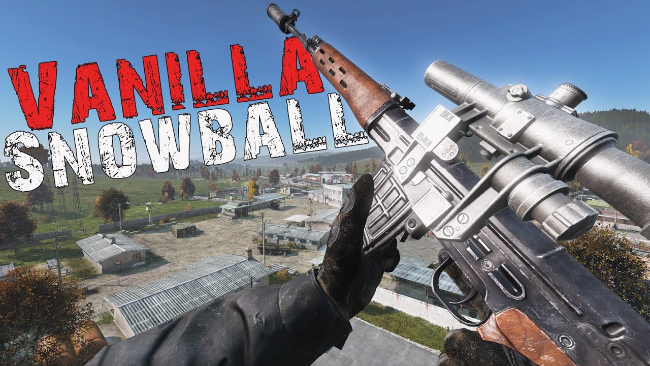 ZERST&Ouml;RUNG AUF TDB DAYZ VANILLA + feat. @Luzi #dayz #deutsch