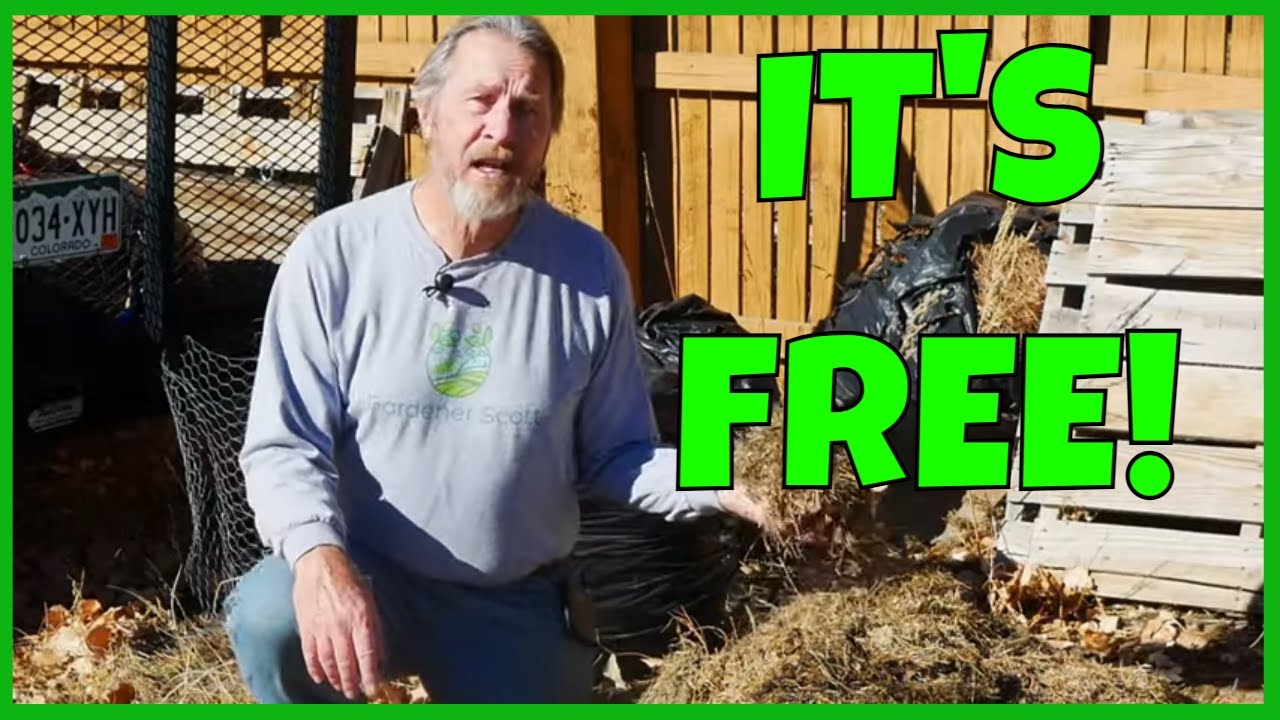 The Best FREE Mulch