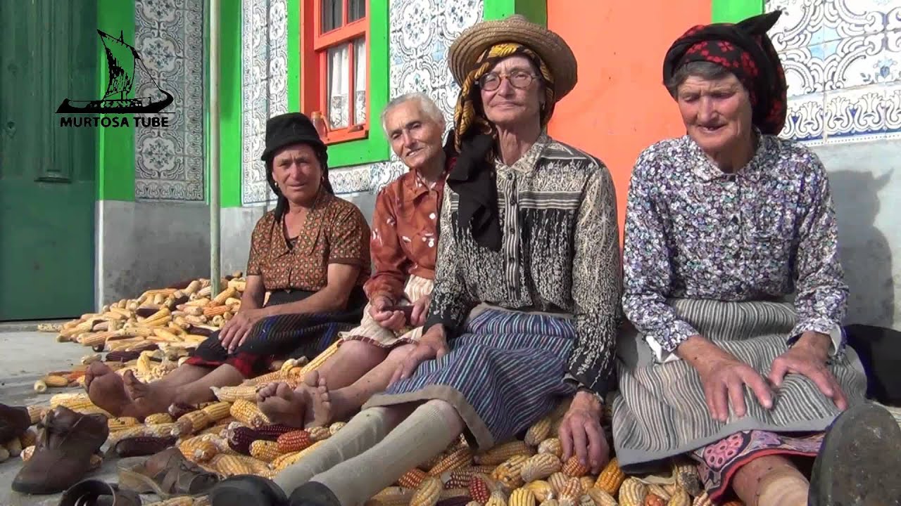 Desfolhada à moda antiga na Murtosa
