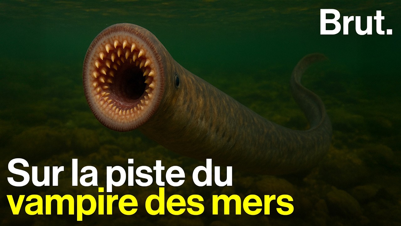 Trop moche pour être sauvée ?