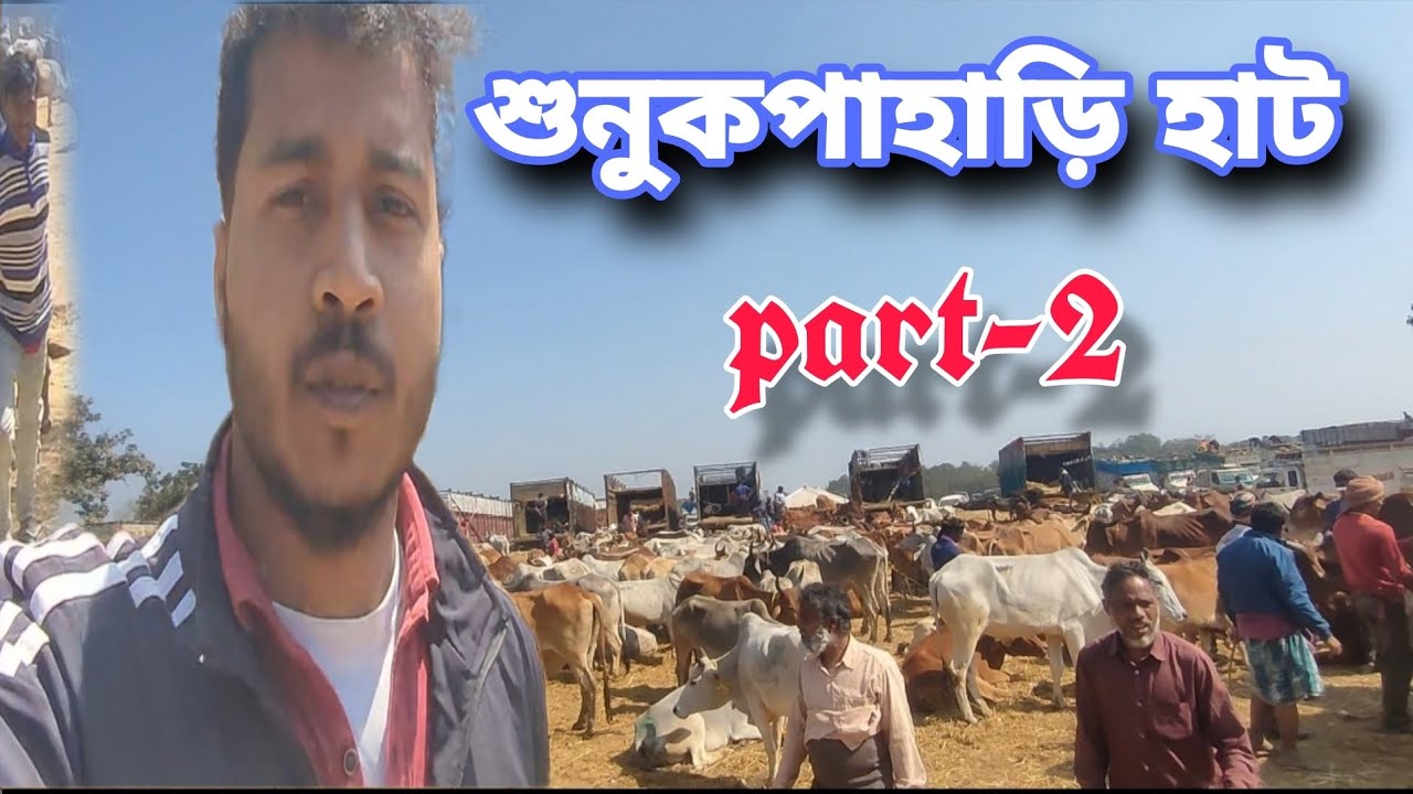 শুনুক পাহাড়ি হাট part -2