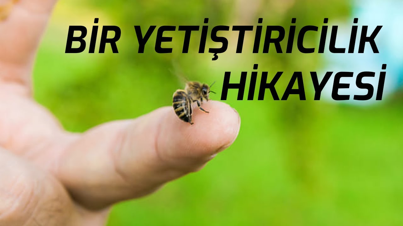 ÇAYCUMA'DA ANA ARI VE KESTANE BALI YETİŞTİRİCİLİĞİ | KÖYDE ARICILIK