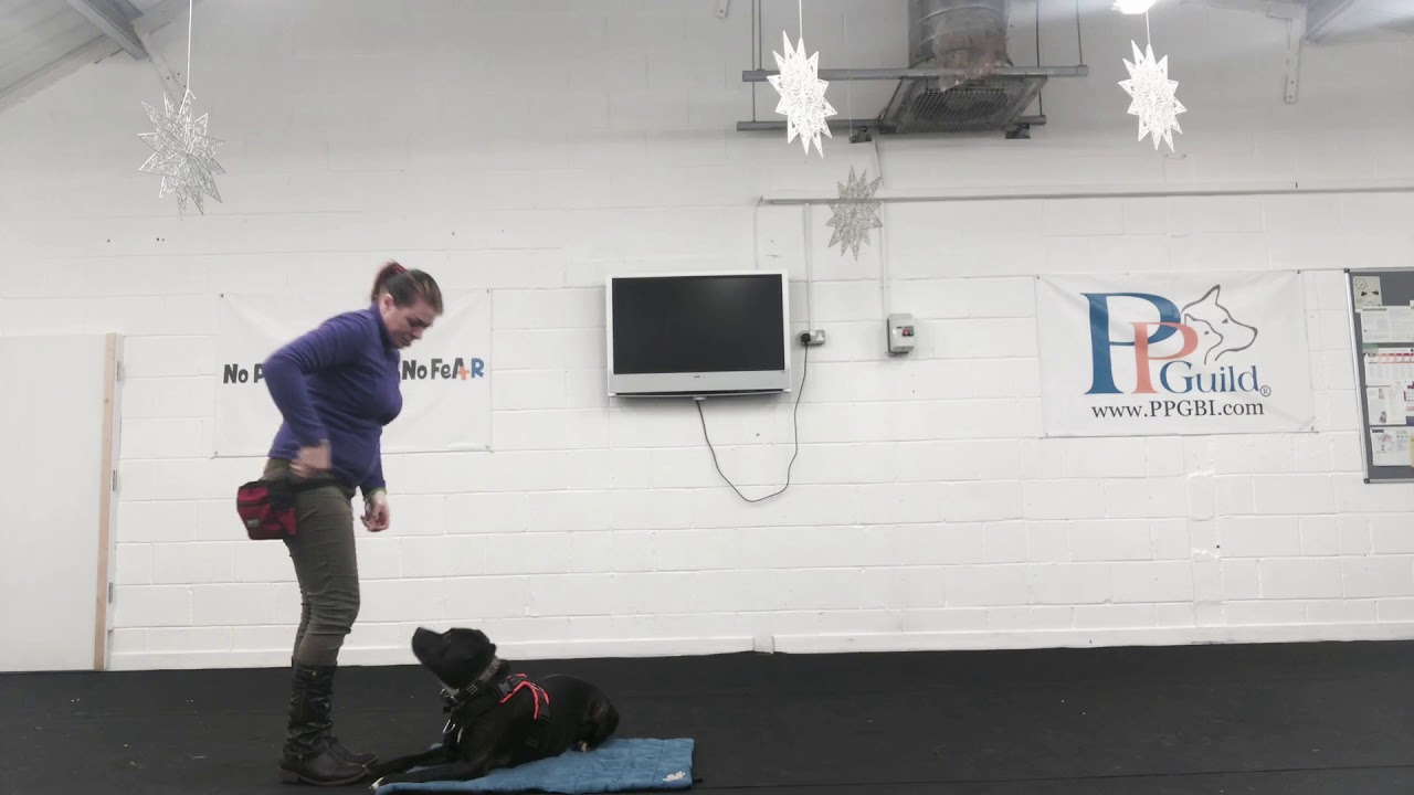 mat work level 1