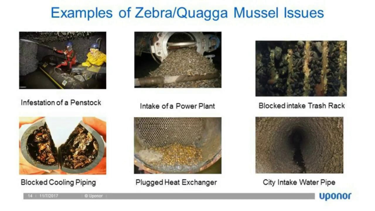 Webinar | Rule The Cool: Reduction of Energy & Chemical Costs Through Deep Lake Cooling