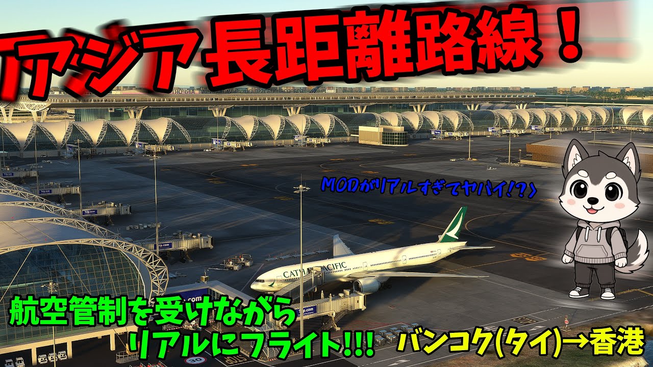 MSFS2024のMODがリアルすぎて激ヤバ！冬のアジア路線を管制下でリアルに運行！   #vatsim