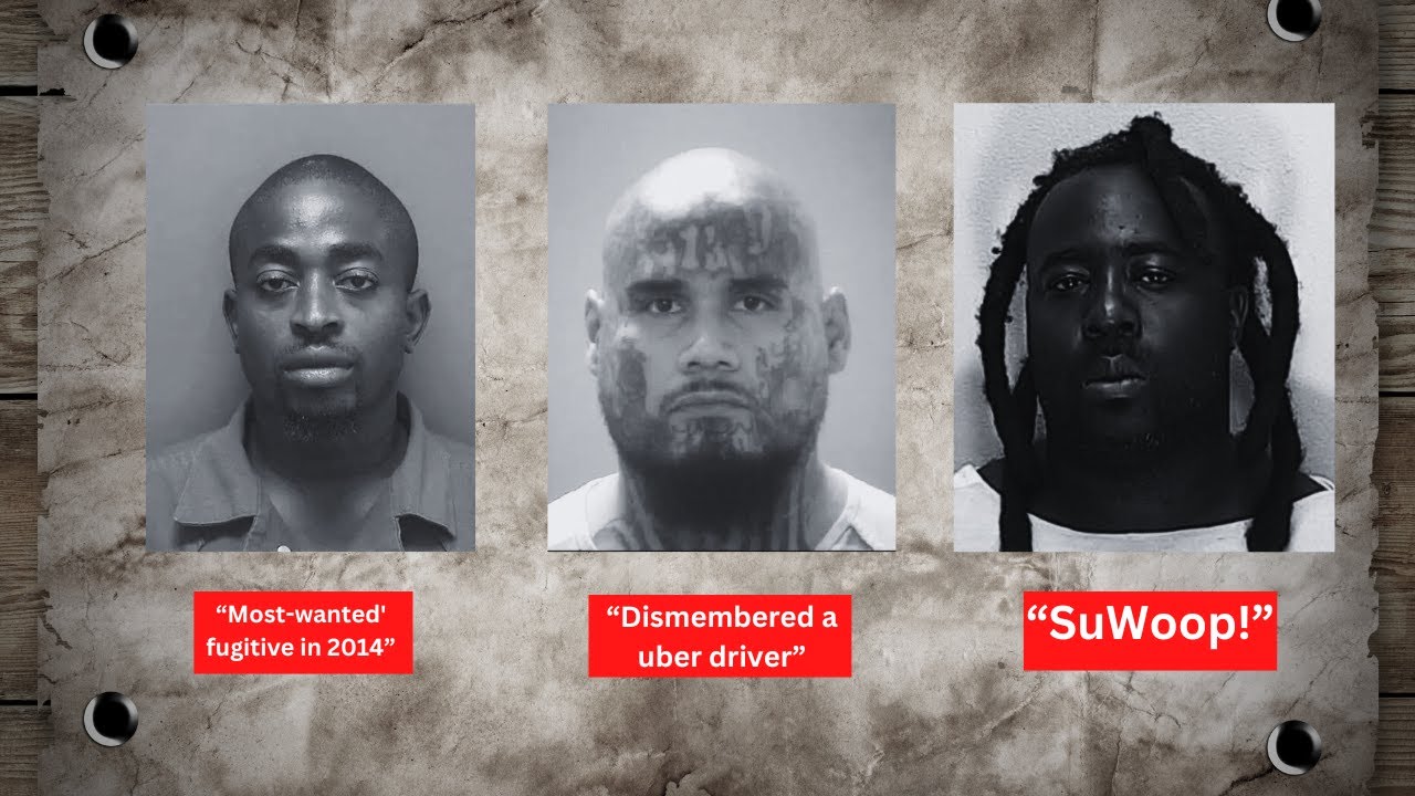Top 10 Most Dangerous Gangs in Florida
