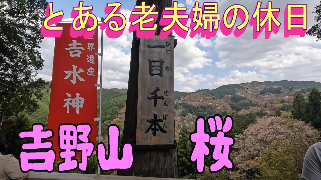 吉野山桜　桜の絶景スポット