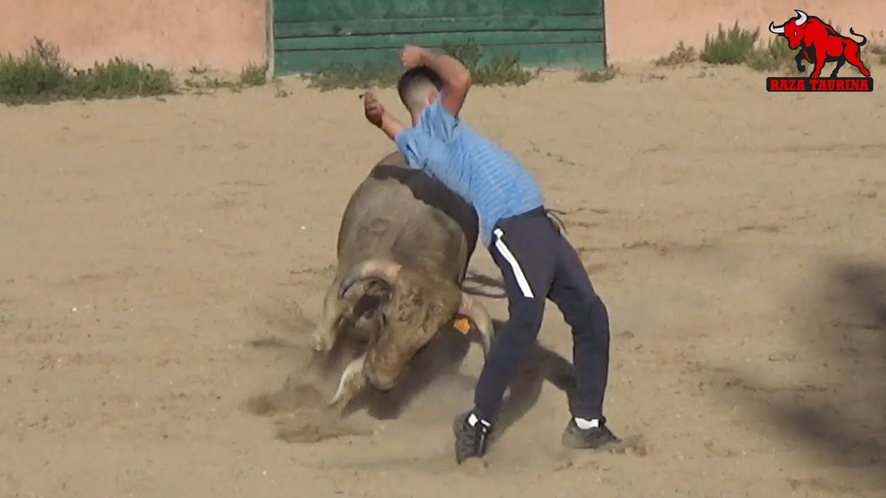 Capea Finca El Palo. Tordesillas. 29 Agosto 2020