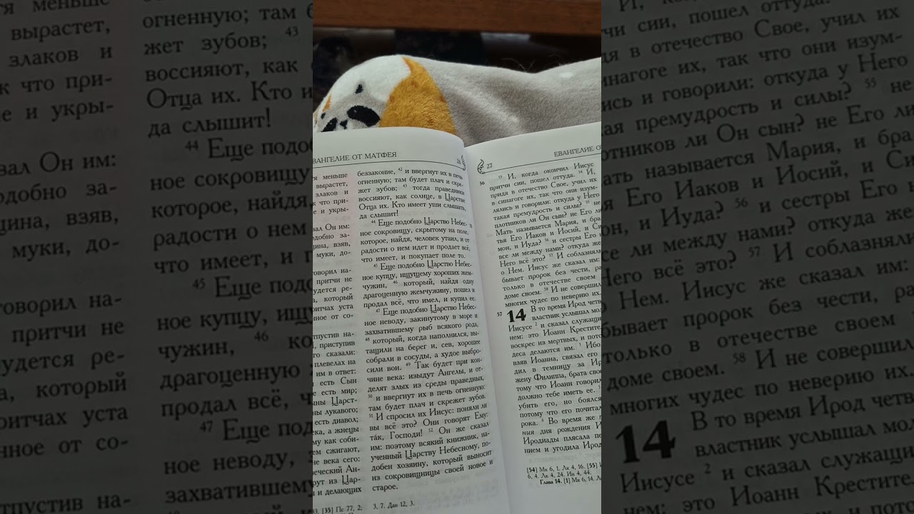Читаем Евангелие перед сном.  Евангелие от Матфея.  Часть 13, 14