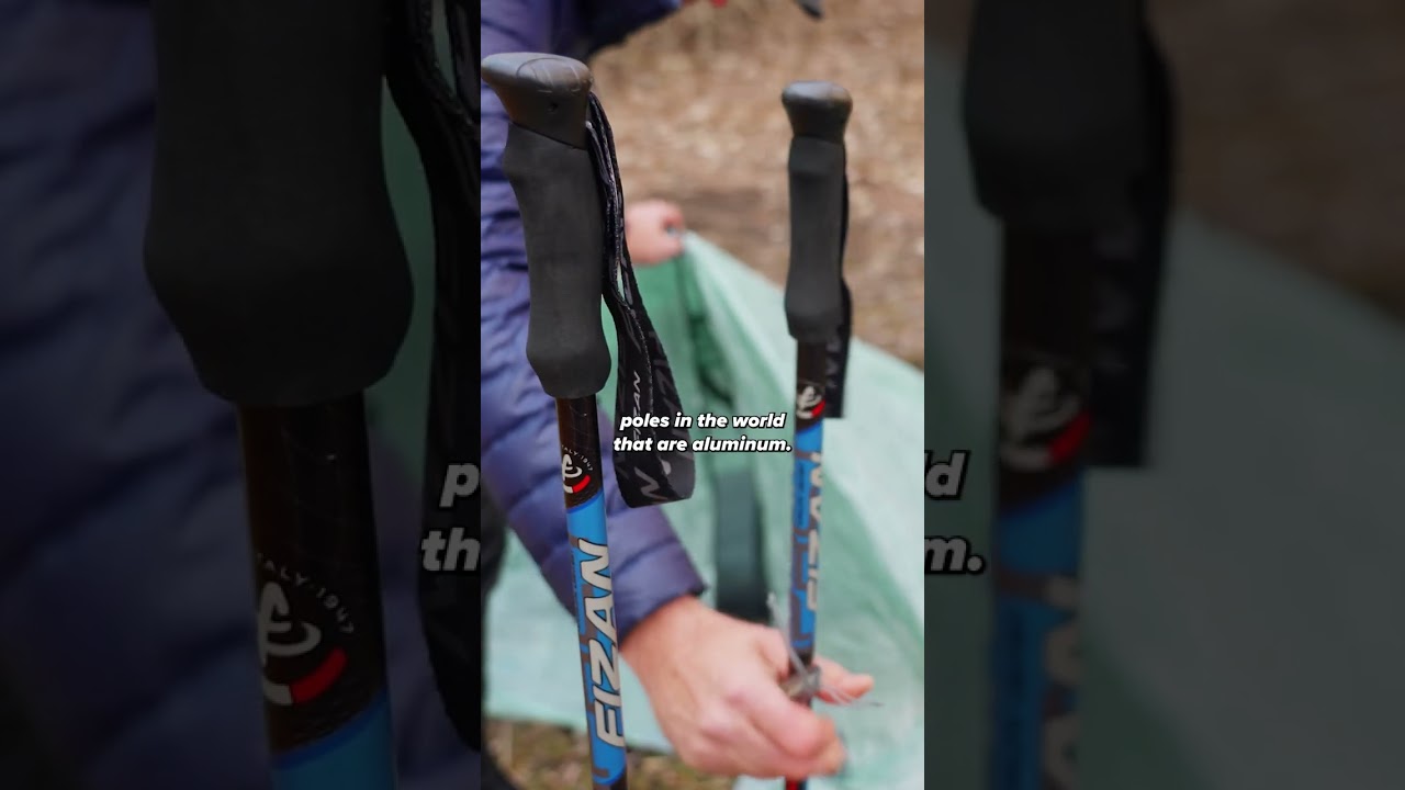 Best Trekking Poles $ Can Buy (on a budget)